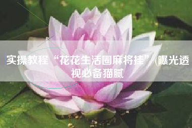 实操教程“花花生活圈麻将挂	”(曝光透视必备猫腻