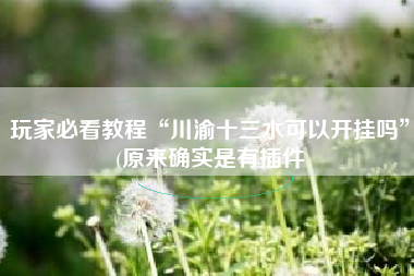 玩家必看教程“川渝十三水可以开挂吗”(原来确实是有插件