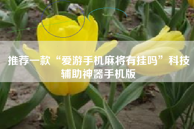 推荐一款“爱游手机麻将有挂吗”科技辅助神器手机版