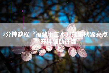 3分钟教程“福建十三水开挂辅助器亮点	”开挂辅助详细