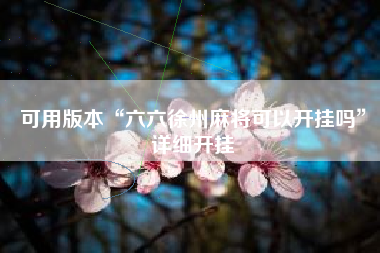 可用版本“六六徐州麻将可以开挂吗”详细开挂