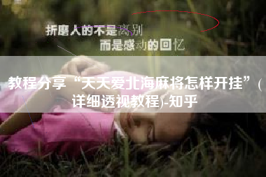 教程分享“天天爱北海麻将怎样开挂”(详细透视教程)-知乎