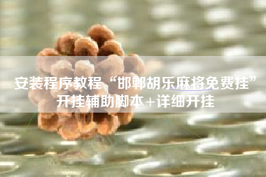 安装程序教程“邯郸胡乐麻将免费挂	”开挂辅助脚本+详细开挂