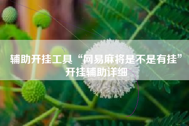 辅助开挂工具“网易麻将是不是有挂”开挂辅助详细