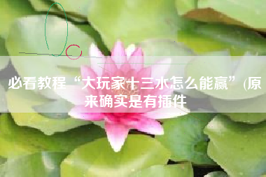 必看教程“大玩家十三水怎么能赢”(原来确实是有插件