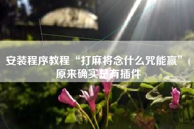 安装程序教程“打麻将念什么咒能赢”(原来确实是有插件