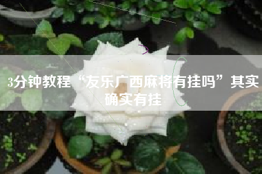 3分钟教程“友乐广西麻将有挂吗”其实确实有挂