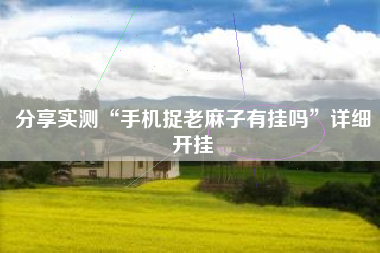 分享实测“手机捉老麻子有挂吗”详细开挂