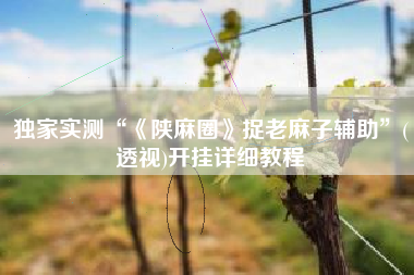 独家实测“《陕麻圈》捉老麻子辅助”(透视)开挂详细教程