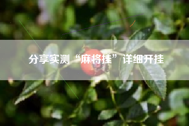 分享实测“麻将挂”详细开挂