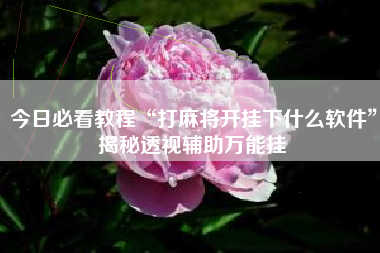 今日必看教程“打麻将开挂下什么软件	”揭秘透视辅助万能挂