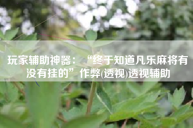 玩家辅助神器：“终于知道凡乐麻将有没有挂的”作弊(透视)透视辅助