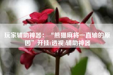 玩家辅助神器：“熊猫麻将一直输的原因”开挂(透视)辅助神器