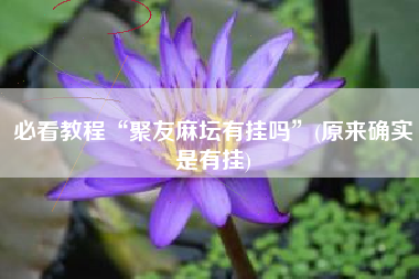 必看教程“聚友麻坛有挂吗”(原来确实是有挂)