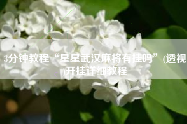 3分钟教程“星星武汉麻将有挂吗	”(透视)开挂详细教程