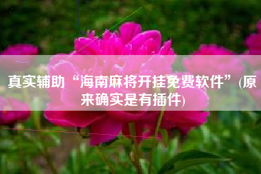 真实辅助“海南麻将开挂免费软件”(原来确实是有插件)
