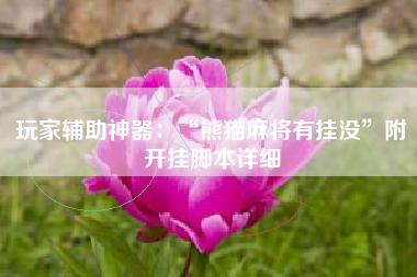 玩家辅助神器：“熊猫麻将有挂没”附开挂脚本详细