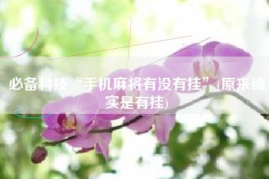 必备科技“手机麻将有没有挂”(原来确实是有挂)