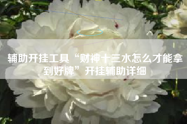 辅助开挂工具“财神十三水怎么才能拿到好牌”开挂辅助详细