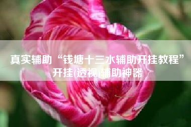 真实辅助“钱塘十三水辅助开挂教程”开挂(透视)辅助神器