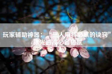 玩家辅助神器：“三人麻将必赢的诀窍”(曝光透视必备猫腻