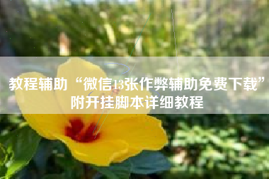 教程辅助“微信13张作弊辅助免费下载	”附开挂脚本详细教程