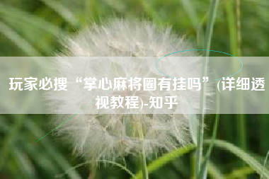 玩家必搜“掌心麻将圈有挂吗	”(详细透视教程)-知乎