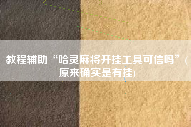 教程辅助“哈灵麻将开挂工具可信吗”(原来确实是有挂)