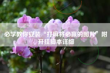 必学教你安装“打麻将必赢的图片”附开挂脚本详细