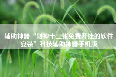 辅助神器“财神十三张免费开挂的软件安装”科技辅助神器手机版