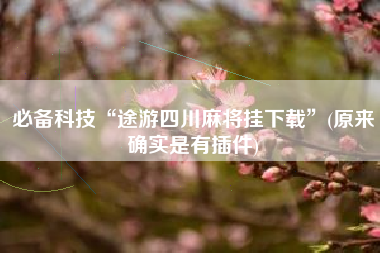 必备科技“途游四川麻将挂下载”(原来确实是有插件)