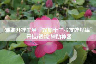 辅助开挂工具“娱加十三张发牌规律	”开挂(透视)辅助神器