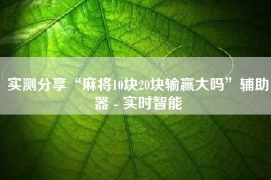 实测分享“麻将10块20块输赢大吗”辅助器 - 实时智能