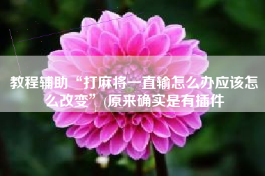 教程辅助“打麻将一直输怎么办应该怎么改变”(原来确实是有插件