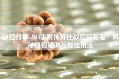 教程分享“13张财神开挂教程最新版”揭秘透视辅助万能挂用法