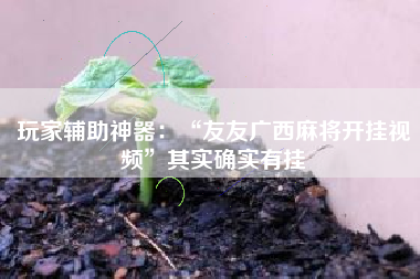 玩家辅助神器：“友友广西麻将开挂视频	”其实确实有挂