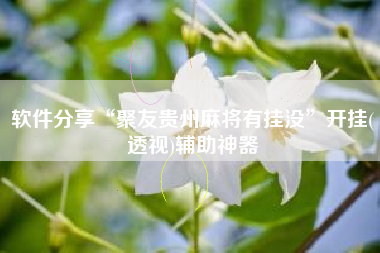 软件分享“聚友贵州麻将有挂没	”开挂(透视)辅助神器