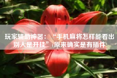 玩家辅助神器：“手机麻将怎样能看出别人是开挂”(原来确实是有插件