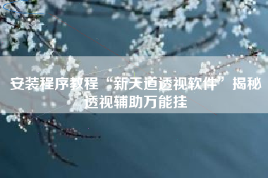 安装程序教程“新天道透视软件”揭秘透视辅助万能挂