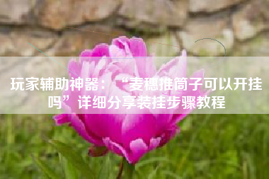 玩家辅助神器：“麦穗推筒子可以开挂吗”详细分享装挂步骤教程