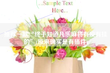 推荐一款“终于知道凡乐麻将有没有挂的”(原来确实是有插件)