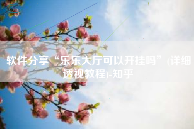 软件分享“乐乐大厅可以开挂吗”(详细透视教程)-知乎