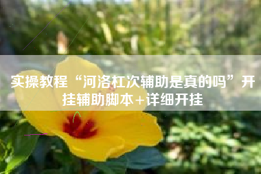 实操教程“河洛杠次辅助是真的吗”开挂辅助脚本+详细开挂 实操教程“河洛杠次辅助是真的吗”开挂辅助脚本+详细开挂