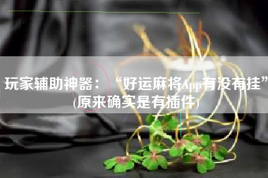 玩家辅助神器：“好运麻将App有没有挂	”(原来确实是有插件)