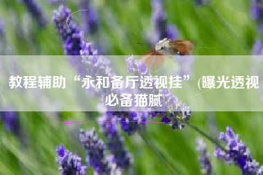 教程辅助“永和备厅透视挂	”(曝光透视必备猫腻