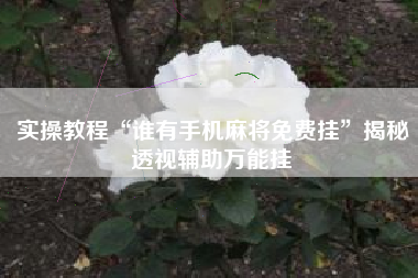 实操教程“谁有手机麻将免费挂”揭秘透视辅助万能挂