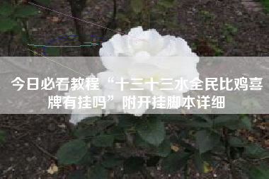 今日必看教程“十三十三水全民比鸡喜牌有挂吗”附开挂脚本详细 今日必看教程“十三十三水全民比鸡喜牌有挂吗”附开挂脚本详细