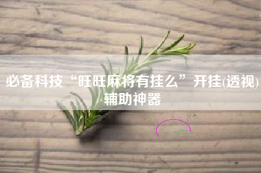 必备科技“旺旺麻将有挂么”开挂(透视)辅助神器