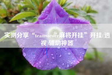 实测分享“teamviewer麻将开挂”开挂(透视)辅助神器