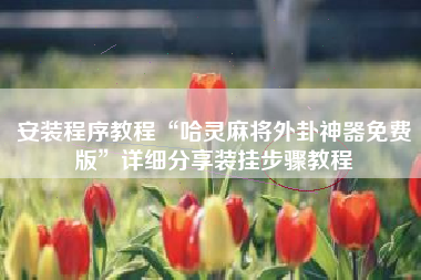 安装程序教程“哈灵麻将外卦神器免费版	”详细分享装挂步骤教程